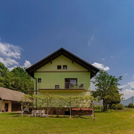 Apartament Hisa V Zelenem *